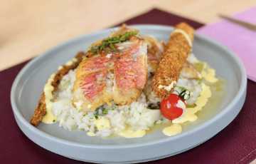 m-d-w Filet vom Papageien-Fisch an Kapern-Senfsosse auf Safranrisotto